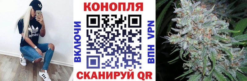 Шишки марихуана OG Kush  маркетплейс какой сайт  Болотное 